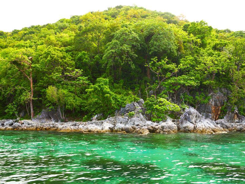 Flower Island Resort タイタイ エクステリア 写真
